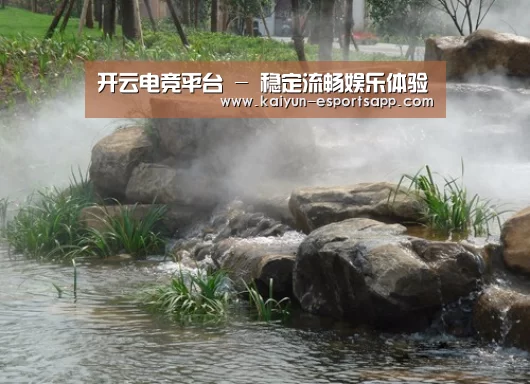 案例展示五