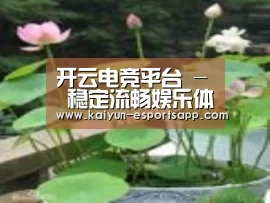 产品名称一