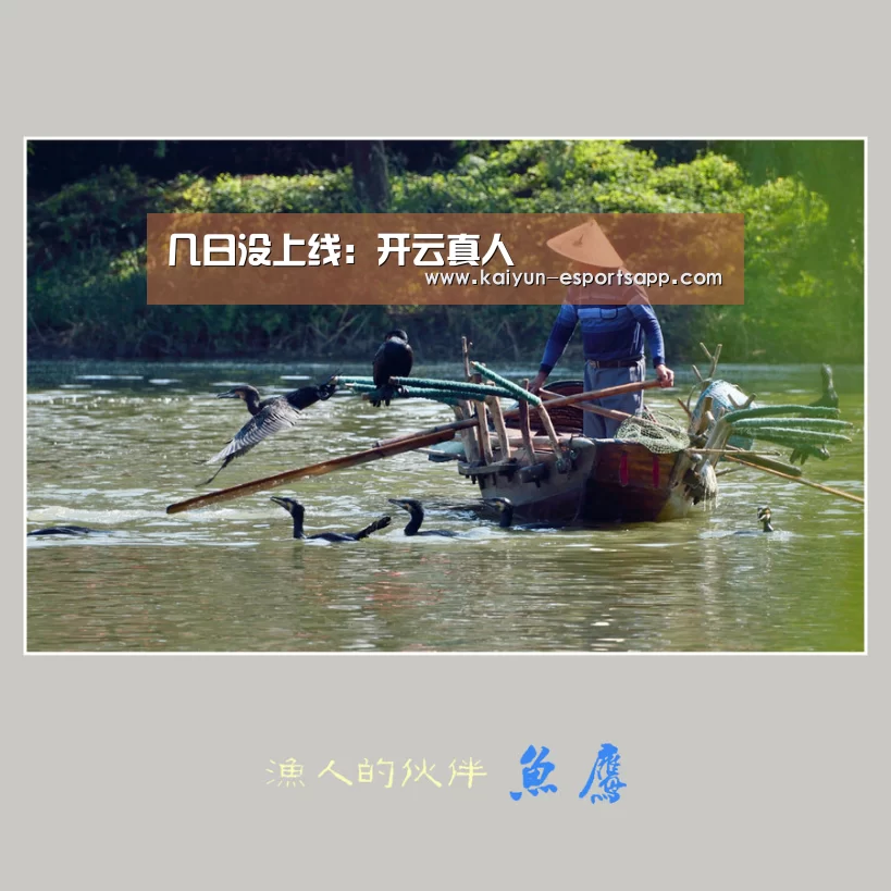 几日没上线:开云真人(图1) 开云娱乐