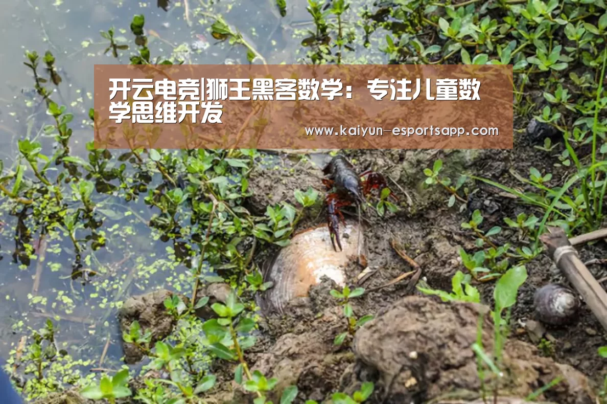 开云电竞