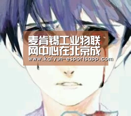 麦肯锡工业物联网中心在北京成立_开云平台(图1) 开云娱乐