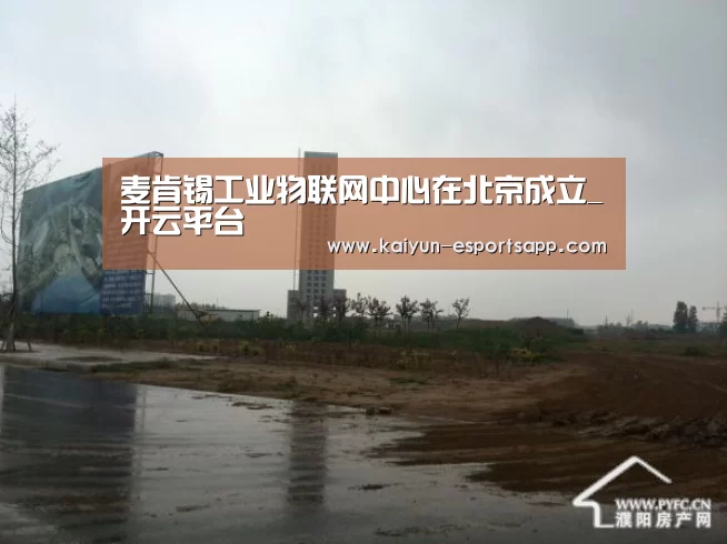 麦肯锡工业物联网中心在北京成立_开云平台(图4) 开云真人