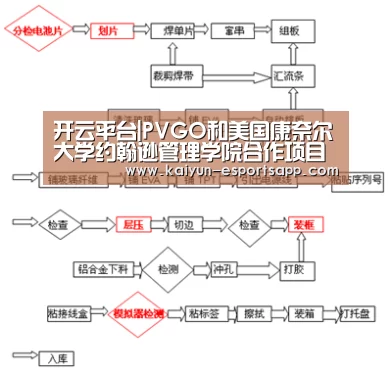 开云平台|PVGO和美国康奈尔大学约翰逊管理学院合作项目正式启动(图1) 开云电竞