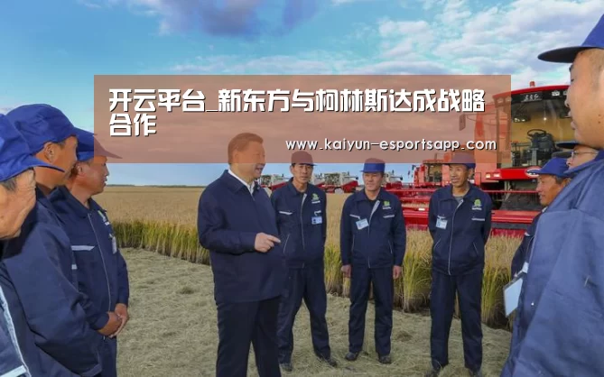 开云娱乐