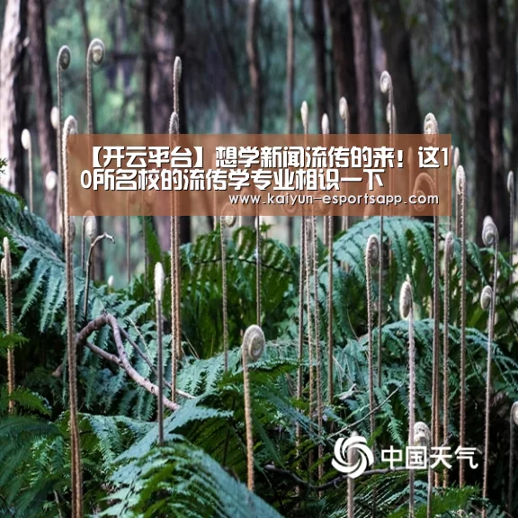 开云平台