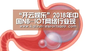 “开云娱乐”2018年中国NB-IOT网络行业现状及发展前景预测(图3) 开云平台