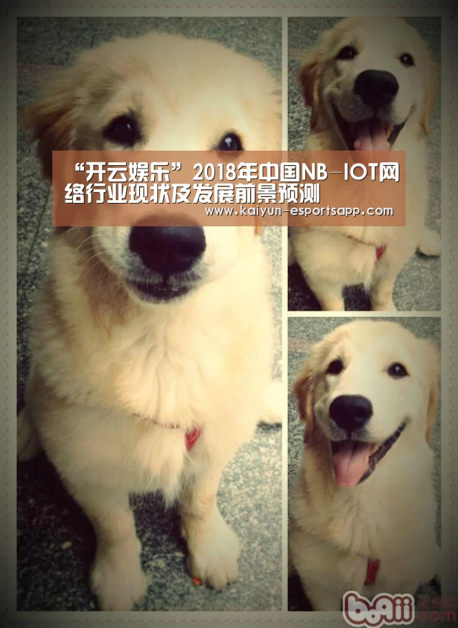 “开云娱乐”2018年中国NB-IOT网络行业现状及发展前景预测(图1) 开云真人