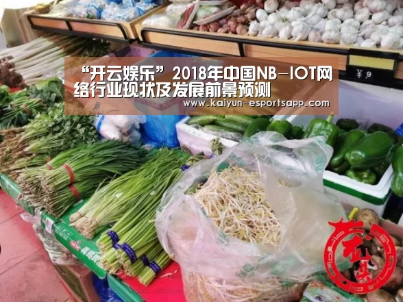 “开云娱乐”2018年中国NB-IOT网络行业现状及发展前景预测(图2) 开云娱乐