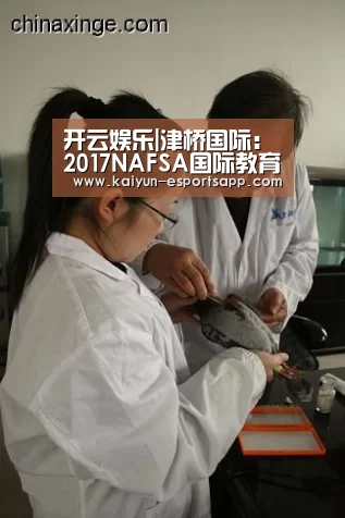 开云娱乐|津桥国际:2017NAFSA国际教育展圆满落幕(图4) 开云平台