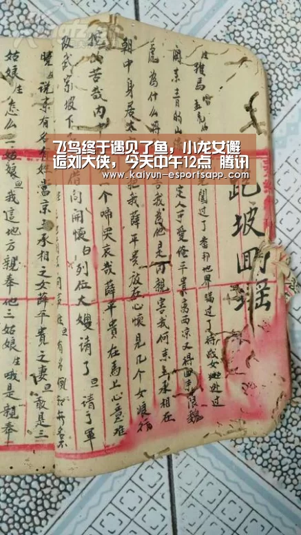 开云平台