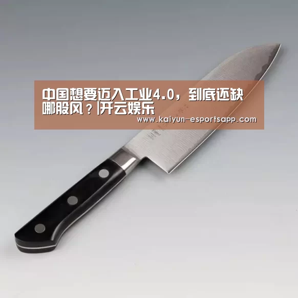 中国想要迈入工业4.0,到底还缺哪股风?|开云娱乐(图4) 开云电竞
