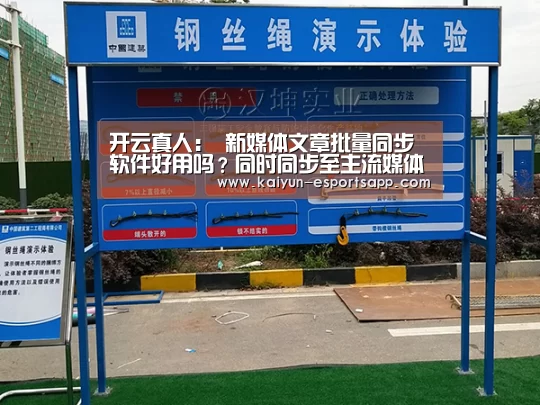 开云真人