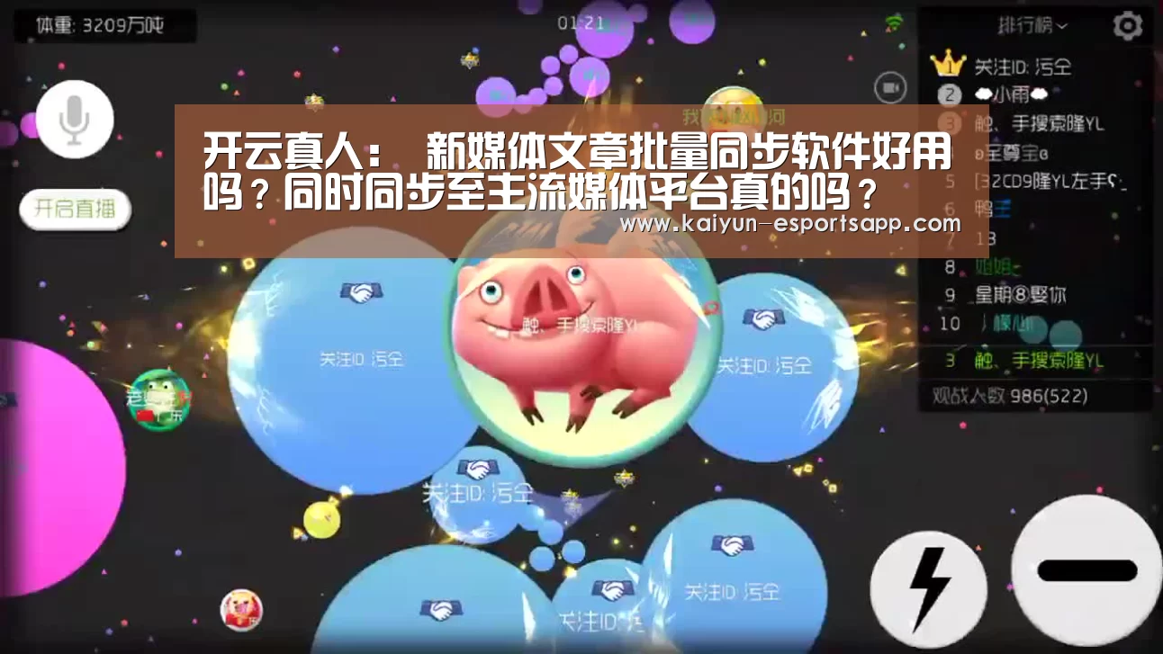 开云电竞