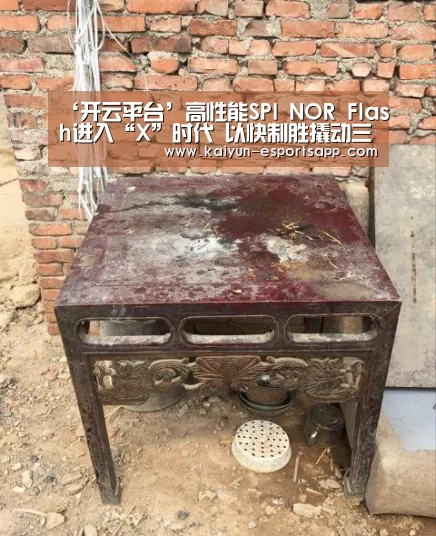 ‘开云平台’高性能SPI NOR Flash进入“X”时代 以快制胜撬动三大万亿级应用市场(图1) 开云平台