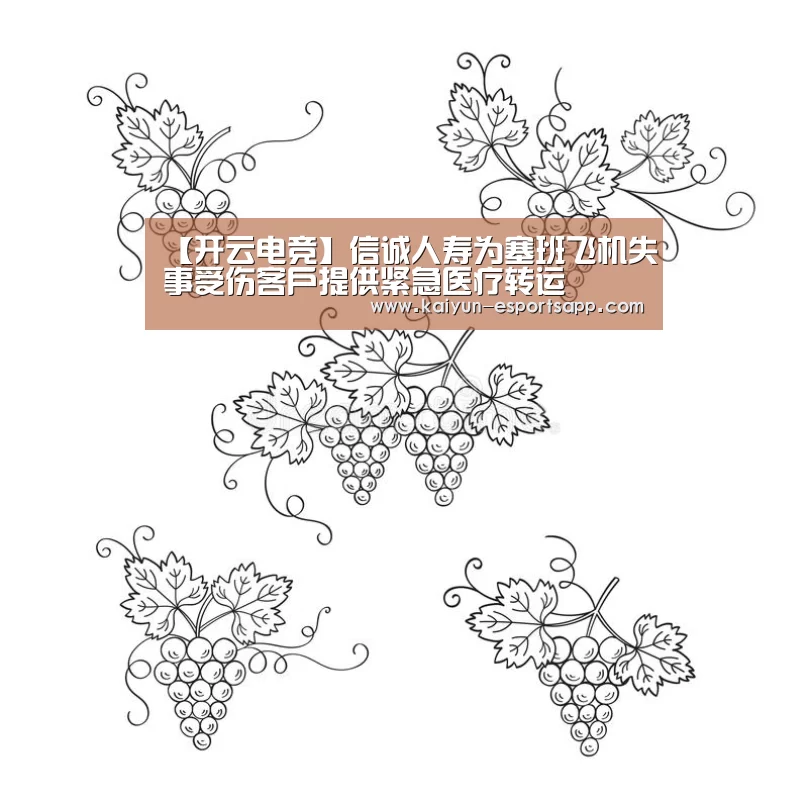 开云电竞